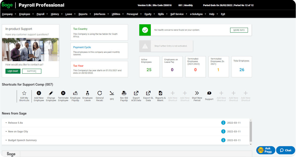 Sage Payroll Dashboard
